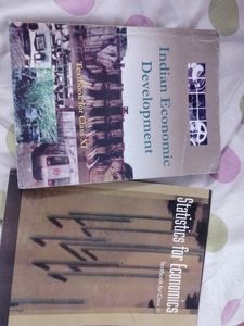 Class 11 Economics Book