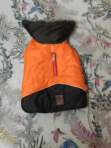 dog's Jacket