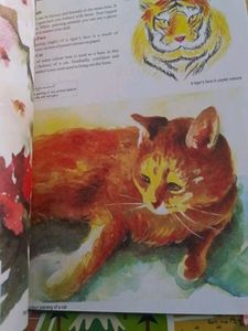 ₹300 Art Plus - Grade 10 Textbook