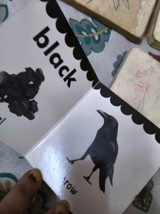 Combo Of 4 Kids Shapes, Numbers Learning Books