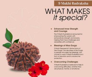 combo of 6 and 9 mukhi rudrakshas