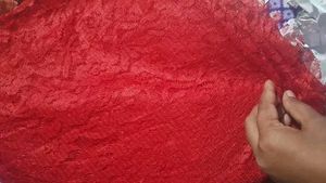Net Design Saree