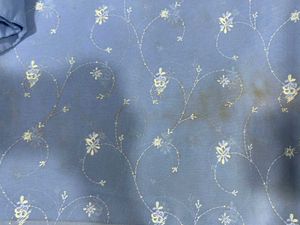 💙🥰Charming Sky Blue Luckonwi Chikankari Saree