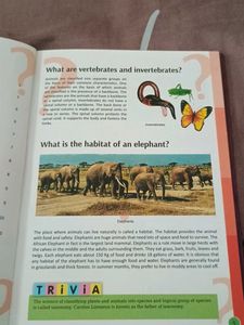 Tell Me What? Trivia Book
