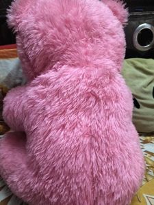 Pink Teddy Bear
