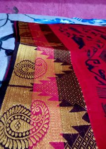 Handloom Sambalpuri Cotton Saree