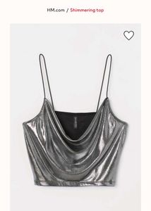Shimmering Silver Top