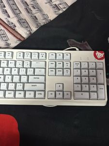 EVOFox Mechanical Keyboard