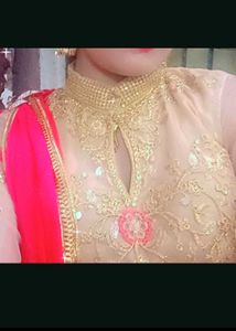 Elegant Ethnic front cut Gown