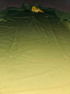 Rare Green Ombre Polo Shirt