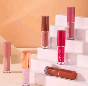 Handaiyan Lipstick Set