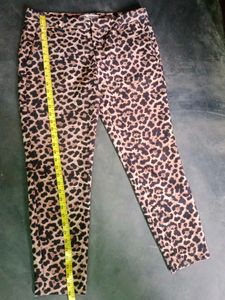Zara Leopard Print  Pants