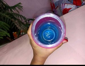 Combo Tiffin With free Bottle