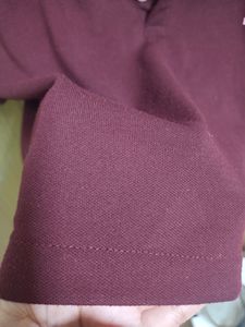 Collared Crop Top