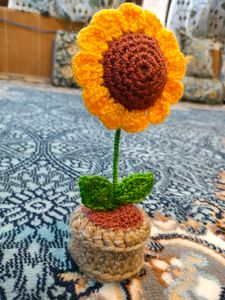 Chrocheted Flower Pot