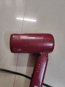 Beauty Crown Parlour Hair Dryer