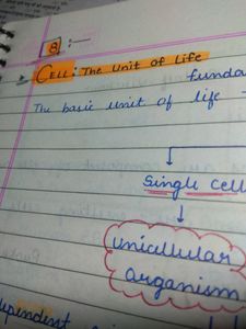Biology Neat Handwritten Notes