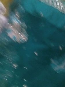 Teal Embellished Fabric