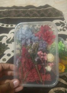 NEW DRY FLOWERS FOR RESIN ART