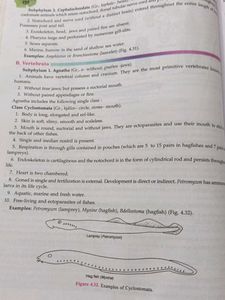 9th Grade Science Textbooks - Chemistry &amp; Biology
