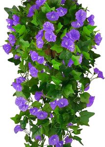 Hanging Plants Combo Of 11