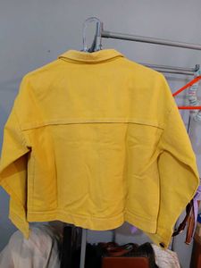 Korean Yellow Jacket 💛