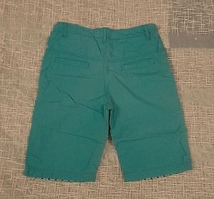 Sea Green Shorts