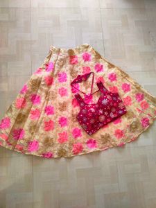 Bollywood Style Lehnga Choli ❤️