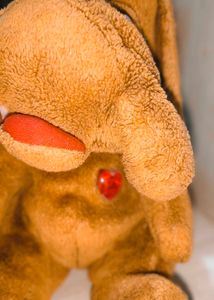 🎁Buy 2 Get 1 Free 🎁 Dog Plush Toy