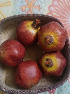Artificial Pomegranates in Basket