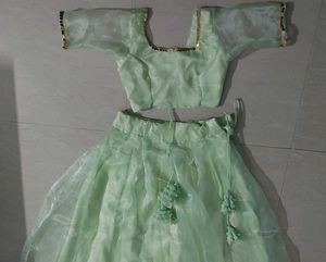 Elegant Mint Green Lehenga Choli Set