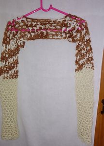 Crochet Shrug And Top