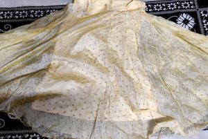 Ethnic Skirt