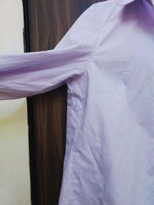 purple striped shirt