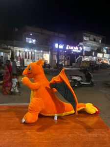 Charizard Pokemon