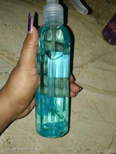 Air Freshener SET OF 2