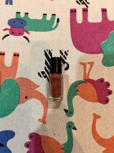 Renee Gloss Touch Nail Polish