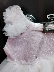 Cute Pink Tutu Dress