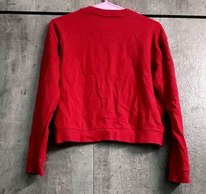 Zudio Sweater