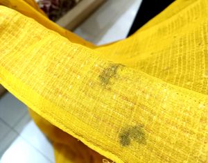 beautiful yellow saree ✨✨