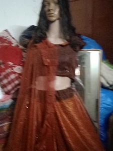 Golden Doble Colour Lahenga Choli