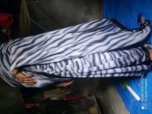Zebra Saree Floral Print