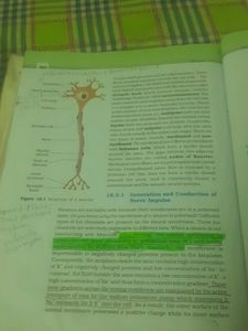NCERT