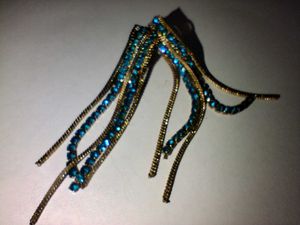 A Gorgeous Earrings