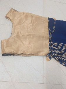 Elegant Ethnic Gown