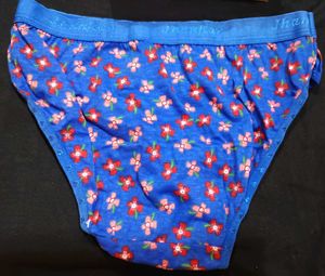 lingerie/bottom bikini/Panty