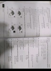 International Olympiad Of Science (Class 4)