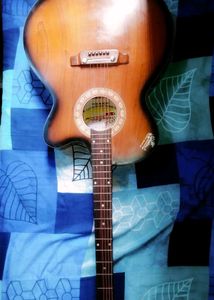 Brand New Signature Guitar