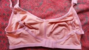 Zivame Women Double Layered Bra