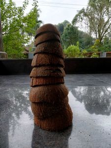 Pure Natural Coconut Shell